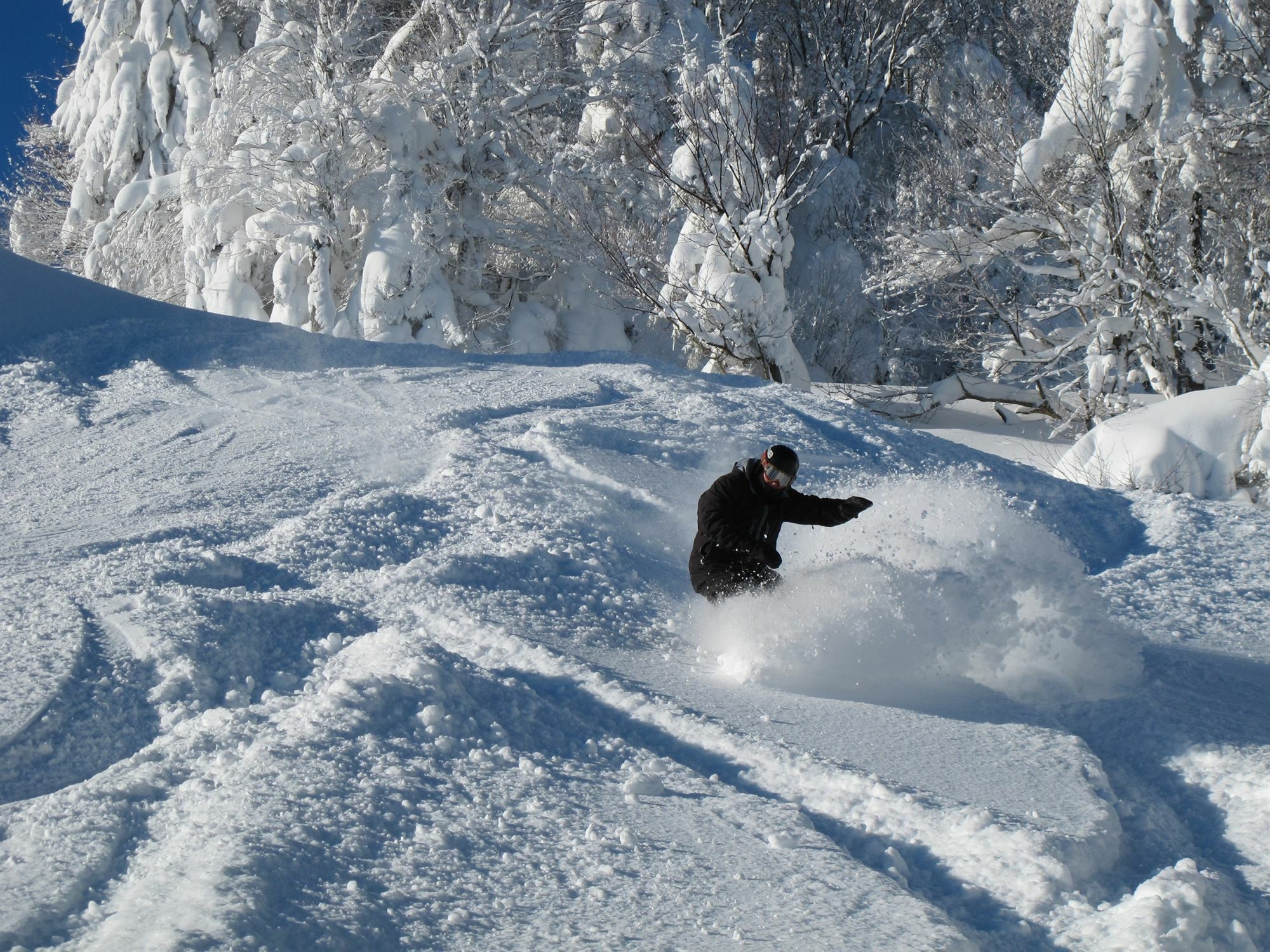 Inn At Snowshoe Dış mekan fotoğraf